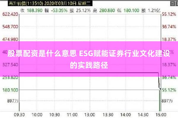 股票配资是什么意思 ESG赋能证券行业文化建设的实践路径