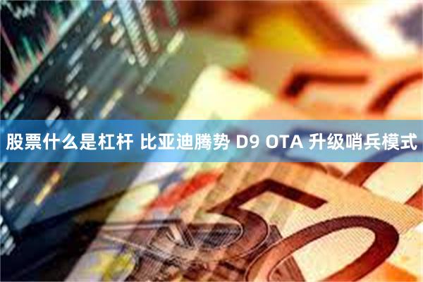 股票什么是杠杆 比亚迪腾势 D9 OTA 升级哨兵模式