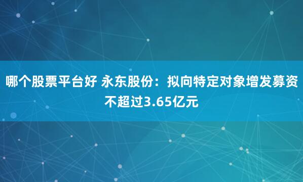 哪个股票平台好 永东股份：拟向特定对象增发募资不超过3.65亿元